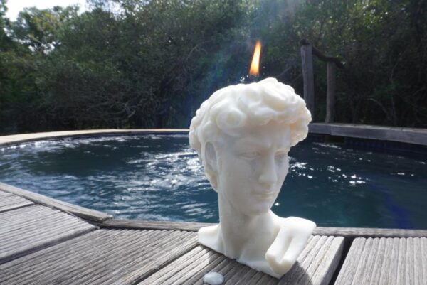 David Michelangelo candle